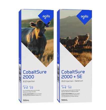 Cobaltsure v2 (1)