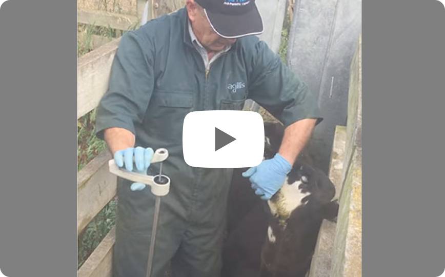 video 2
